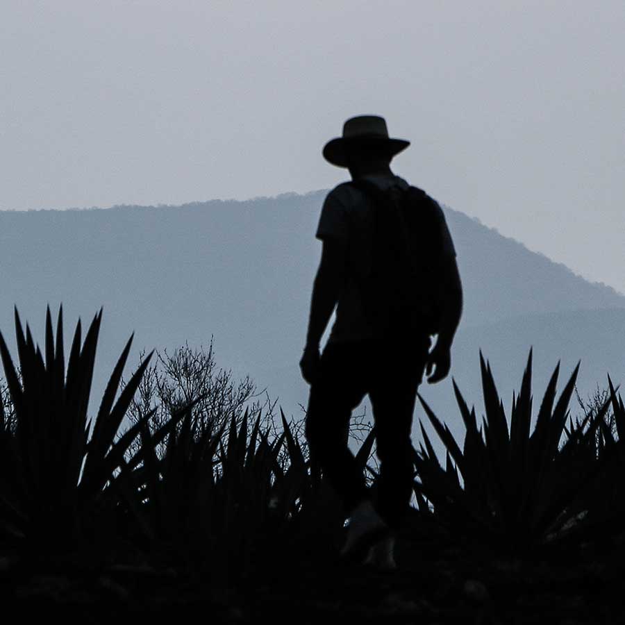 el cortijo